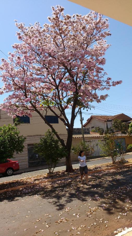 Casa 1 *